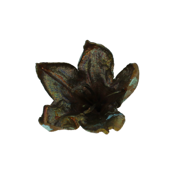 Blume Rhododendron gr�nspan