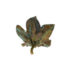 Blume Rhododendron gr�nspan