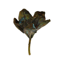 Blume Rhododendron gr�nspan