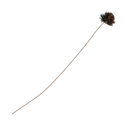 Flower chives verdigris patina