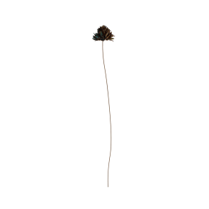 Flower chives verdigris patina