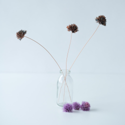 Flower chives verdigris patina