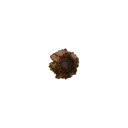 Flower Oxeye copper-plated verdigris patina