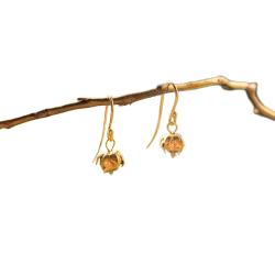 Flora Hr rehnger forgyldt