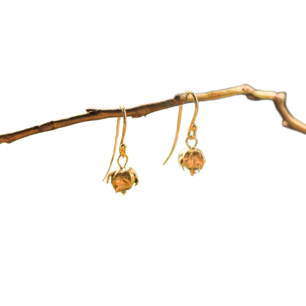 Flora Hr rehnger forgyldt