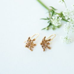 Flora vild gulerod rehnger forgyldt