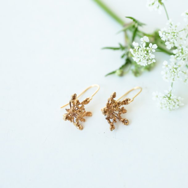 Flora vild gulerod rehnger forgyldt