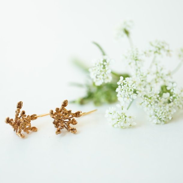 Flora vild gulerod rehnger forgyldt