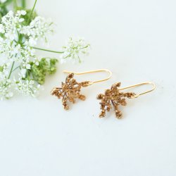 Flora vild gulerod rehnger forgyldt