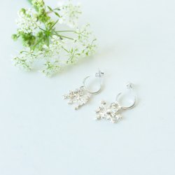 Flora vild gulerod rering hoop forslvet 