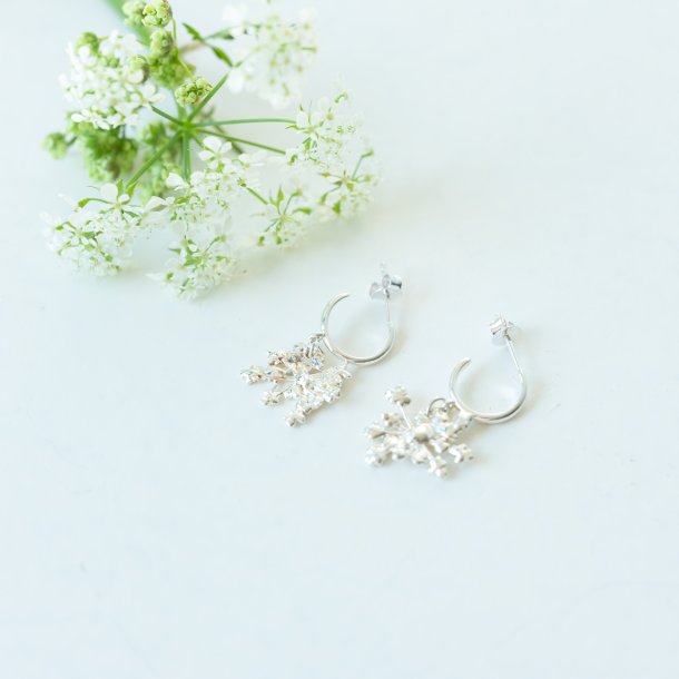 Flora vild gulerod rering hoop forslvet 