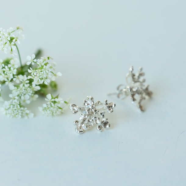 Flora vild gulerod restik forslvet