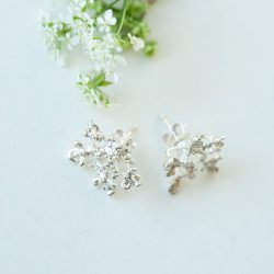 Flora vild gulerod restik forslvet