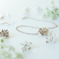 Flora vild gulerod rering hoop forslvet 