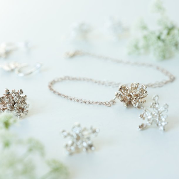 Flora vild gulerod restik forslvet