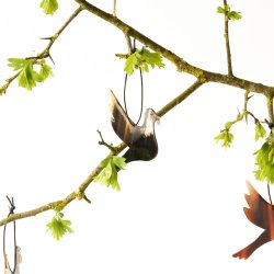 Friedenstaube aus Horn