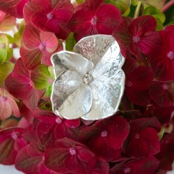 Flora Hortensia vedhng forslvet