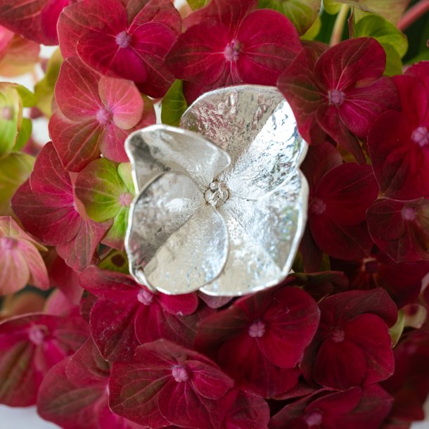 Flora Hortensia vedhng forslvet