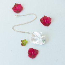 Flora Hortensia vedhng forslvet