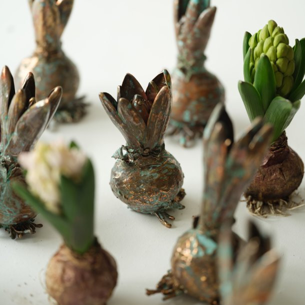 Blume Hyazinthe grnspan