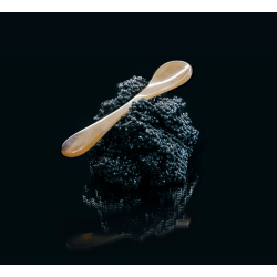 Caviar spoon