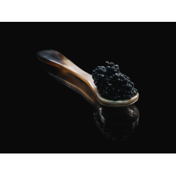 Caviar spoon