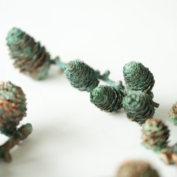 Blume Lrchenzweig klein grnspan 