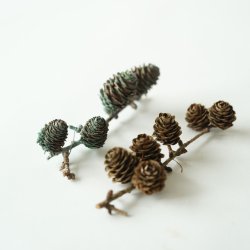 Blume Lrchenzweig klein grnspan 