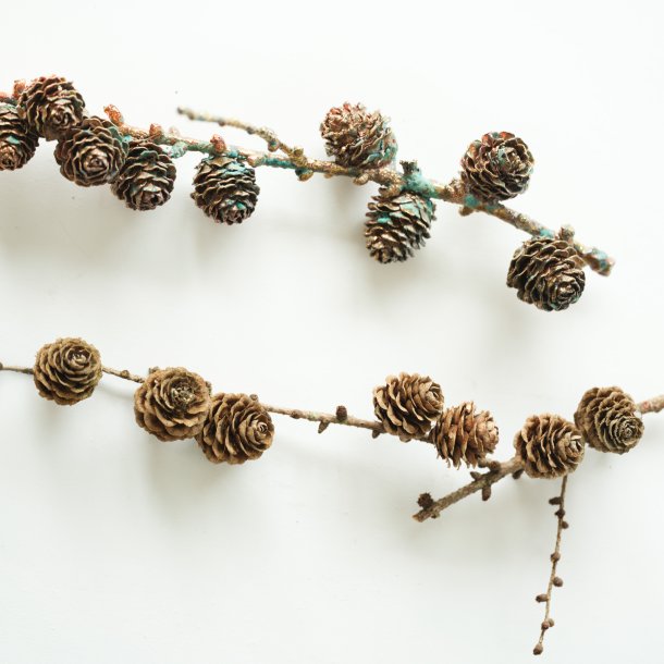 Blume Lrchenzweig gross grnspan 