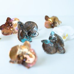 Blume Orchidee kopf Kalt Kupfer