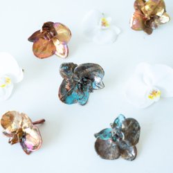 Blume Orchidee kopf Kalt Kupfer