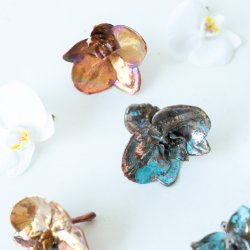 Blume Orchidee kopf Kalt Kupfer