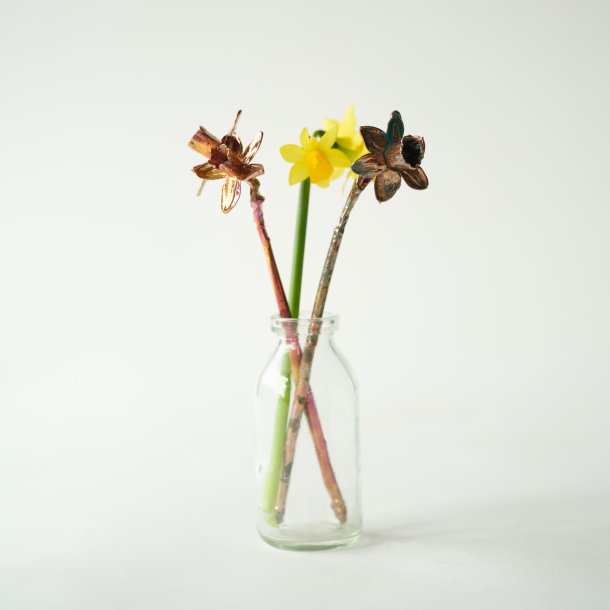 Blomst Pskelilje Tete a tete irret