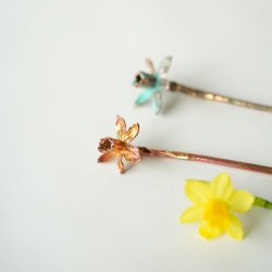 Blomst Pskelilje Tete a tete irret