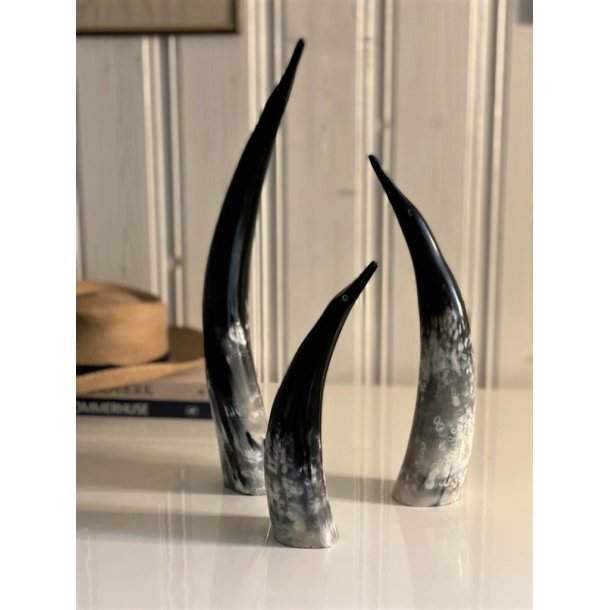 Horn Pinguin Medium 30-35 cm