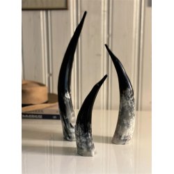 Horn Pinguin Klein 25-30 cm