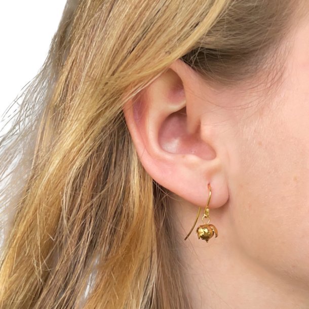 Flora Hr rehnger forgyldt