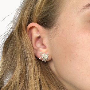 Flora Dill Ohrstecker Versilbert