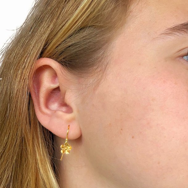 Flora Forglemmigej rehnger forgyldt