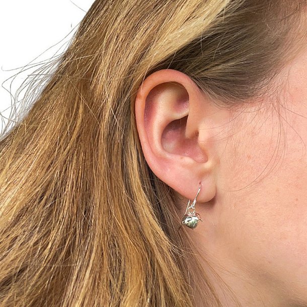 Flora Hr rehnger forslvet