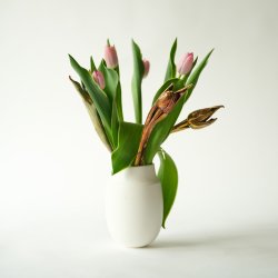 Flower Tulip Cold Copper
