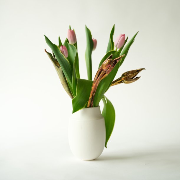Flower Tulip Cold Copper