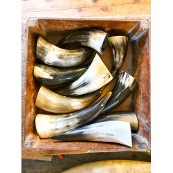 Horn Pinguin Klein 25-30 cm