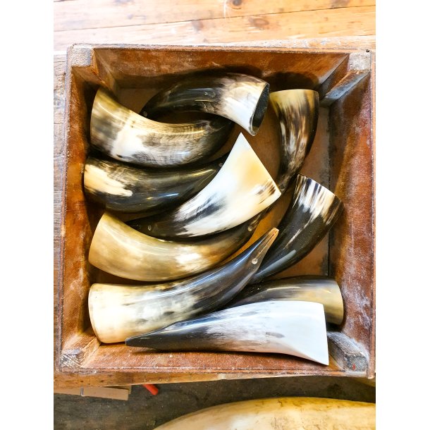 Horn Pinguin Klein 25-30 cm