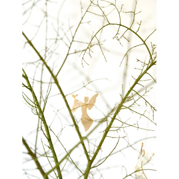 2024 Engel des Jahres