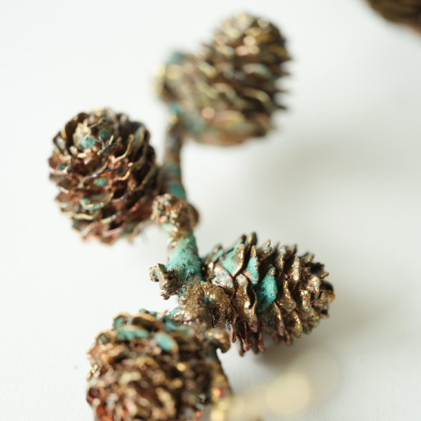 Blume Lrchenzweig klein grnspan 