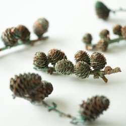 Blume Lrchenzweig klein grnspan 