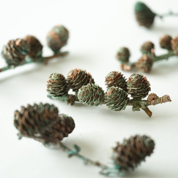 Blume Lrchenzweig klein grnspan 