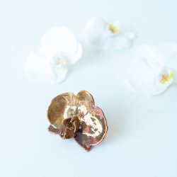 Blume Orchidee kopf Kalt Kupfer